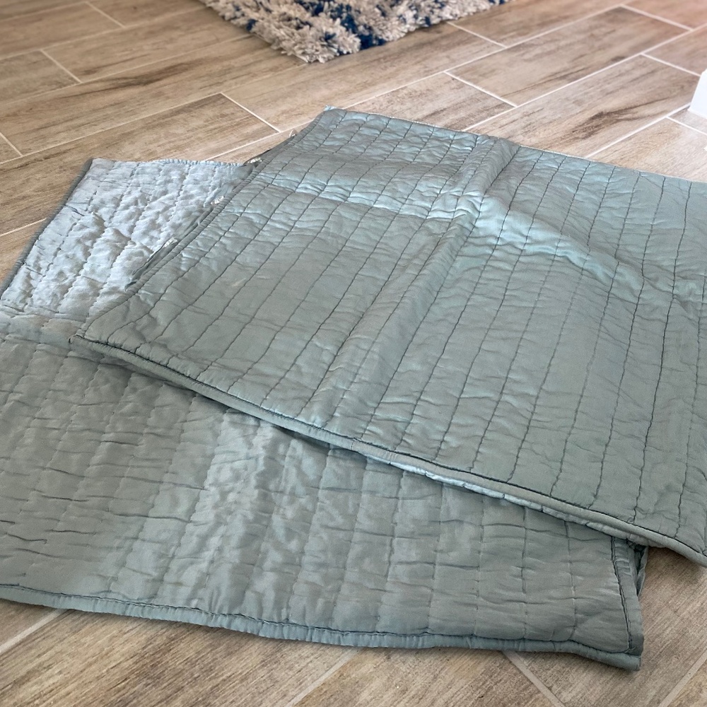 Pottery Barn Silk Blend Euro Shams (Set of 2)